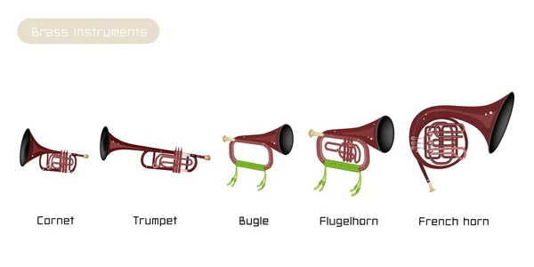 Cinq instruments en laiton isolés sur fond blanc — Image vectorielle