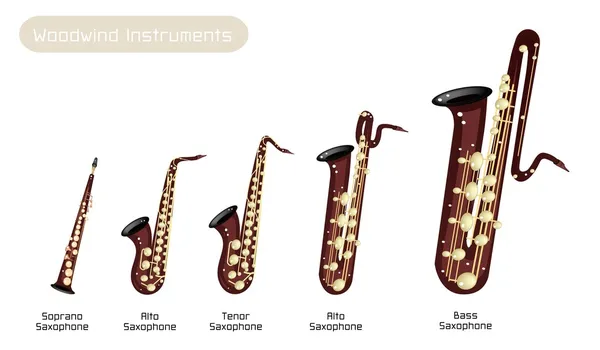 Diferentes tipos de saxofón musical sobre fondo blanco — Archivo Imágenes Vectoriales