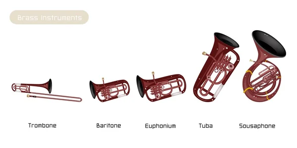 Vijf muzikale koperen instrument geïsoleerd op witte achtergrond — Stockvector