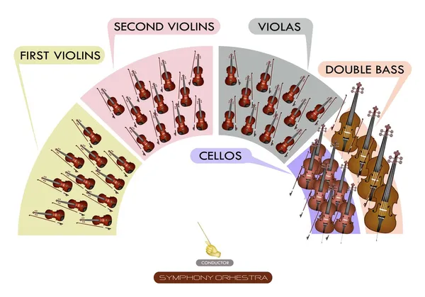 シンフォニック バンドのための弦楽器の図 — ストックベクタ