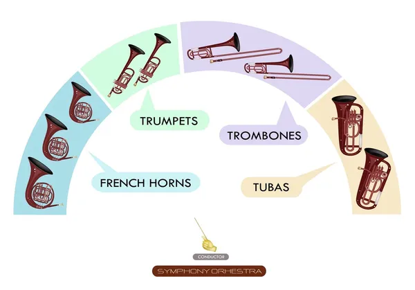 Sittplatser diagram av träblåsinstrument för symphonic band — Stock vektor