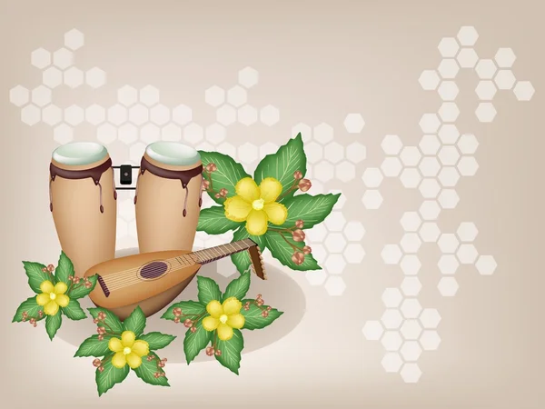 Congas et luth avec des fleurs simples sur fond brun — Image vectorielle