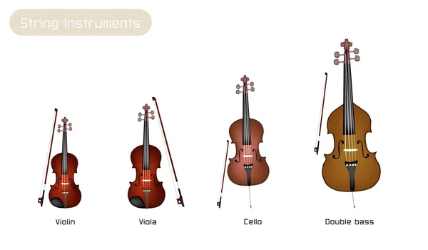 Fyra musikinstrument strängar på vit bakgrund — Stock vektor