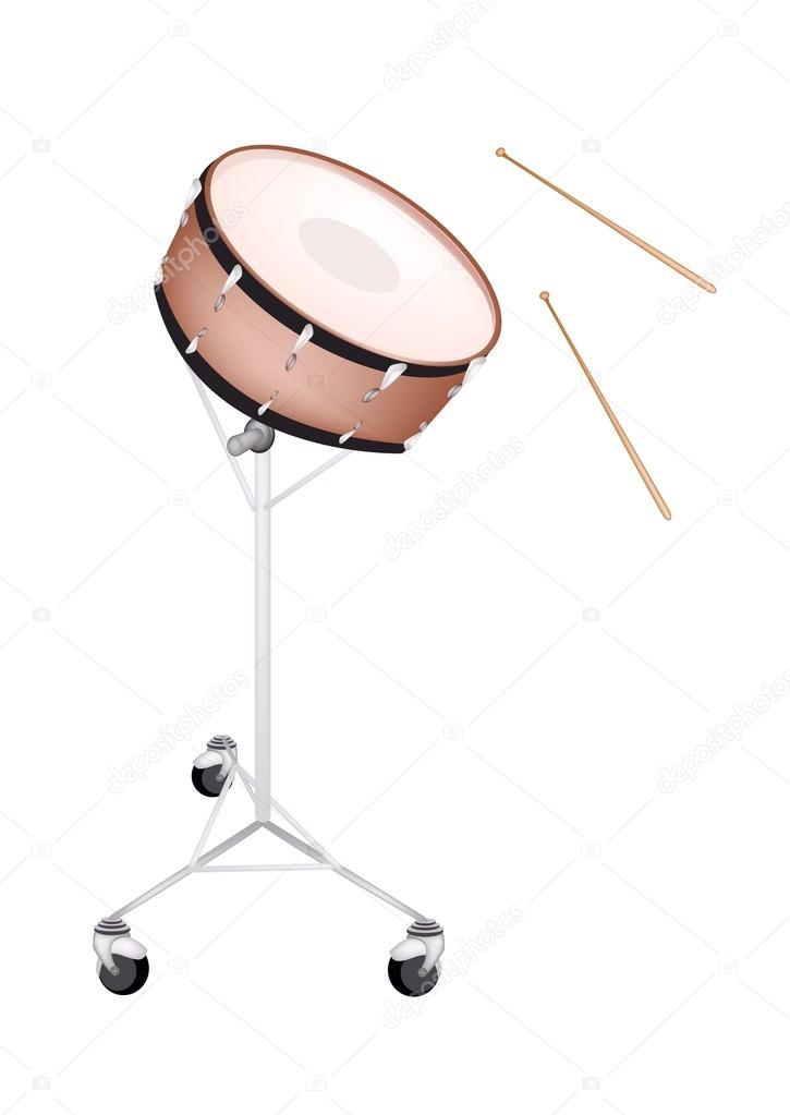 A Beautiful Snare Drum on White Background