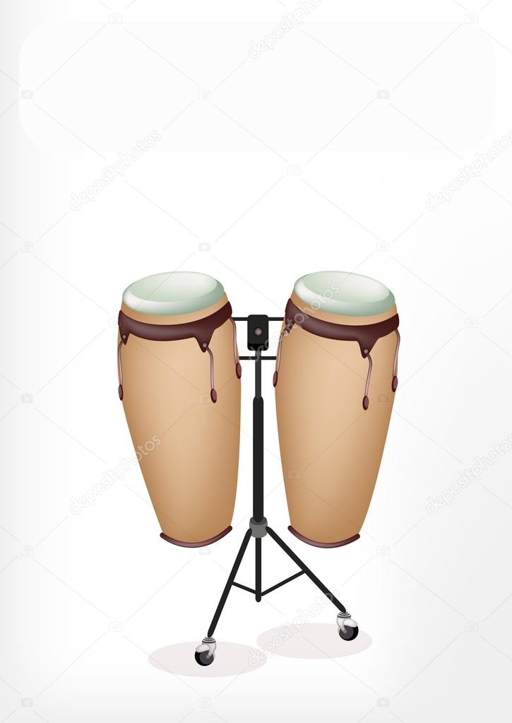 Beautiful Congas with Stand on White Background