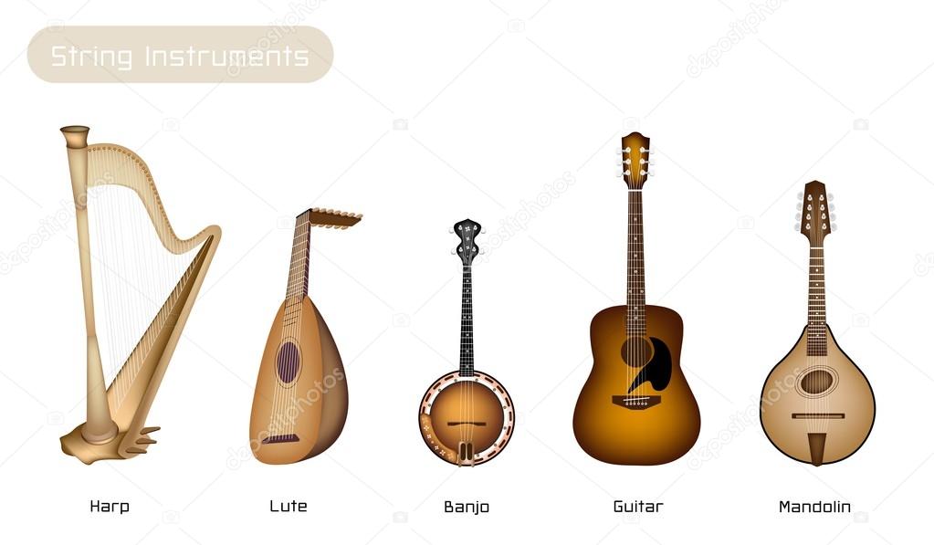 Five Musical Instrument Strings on White Background