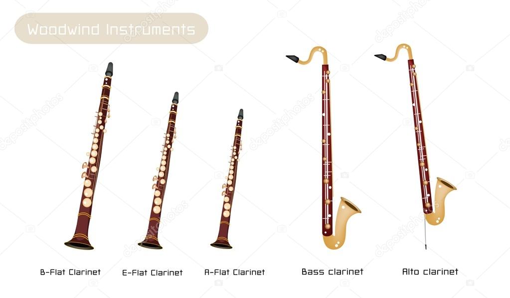 Various Kind of Clarinets Isolated on White Background