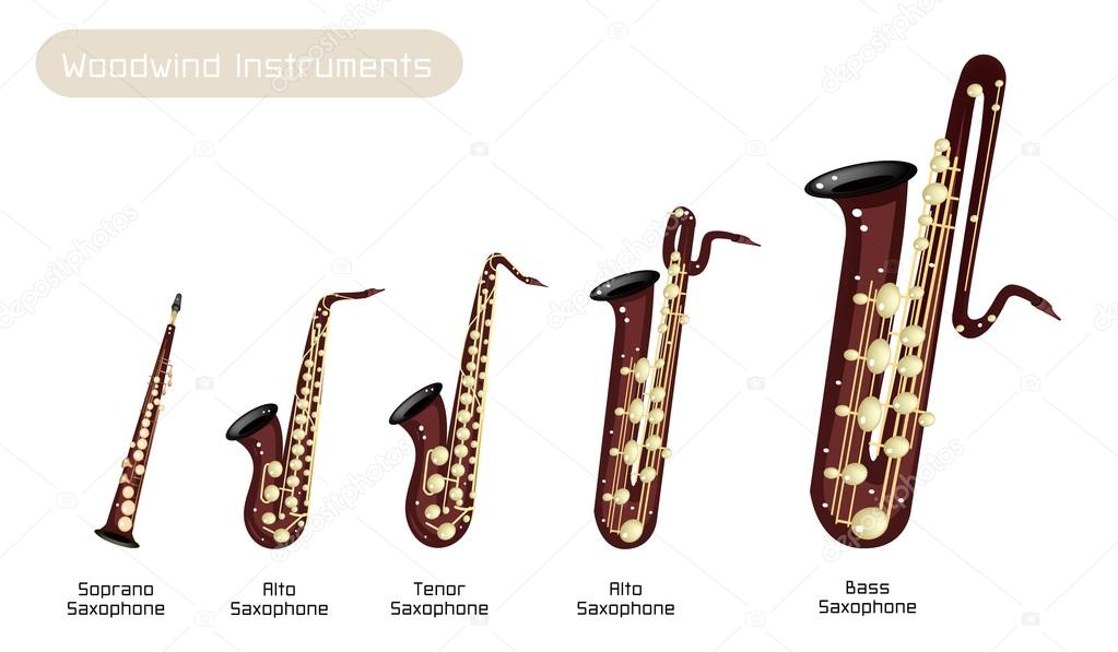 Different Kind of Musical Saxophone on White Background