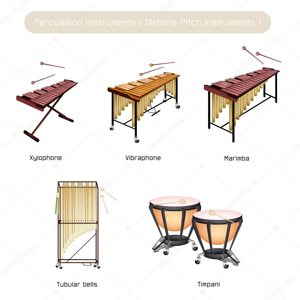 Set of Musical Percussion Instruments Isolated on White Background