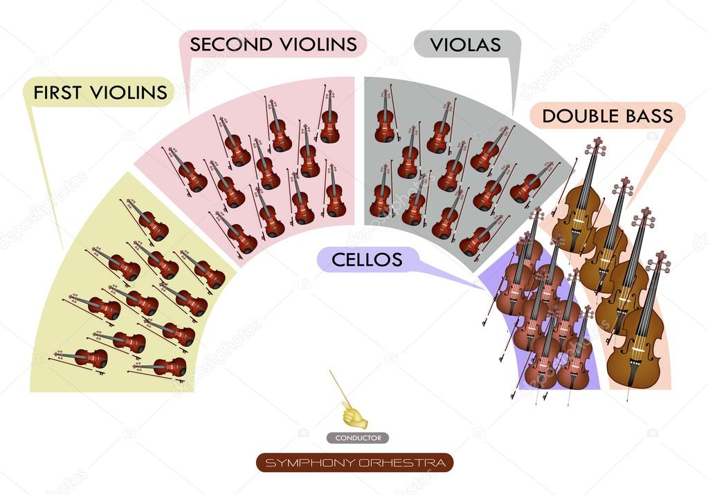 Diagram of String Instrument for Symphonic Band