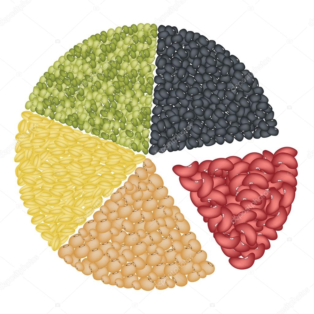 Set of Different Beans in Pie Chart Concept