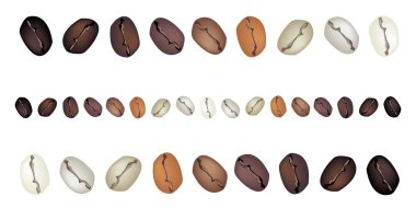 Different Colors of Coffee Beans on White Background