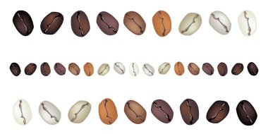Different Colors of Coffee Beans on White Background