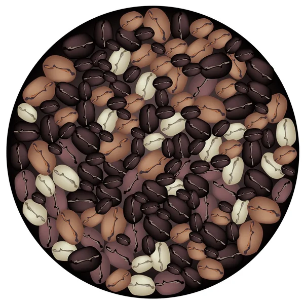 Cores diferentes de grãos de café formando em forma de círculo — Vetor de Stock