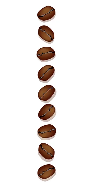 Diferentes tipos de granos de café en una fila vertical — Vector de stock