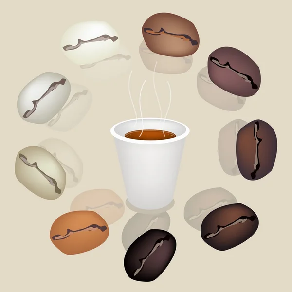 Feijões de café diferentes em torno de uma xícara de café — Vetor de Stock