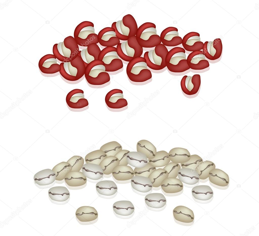 Dry Coffee Berries and Coffee Bean on White Background