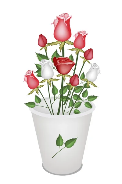 Un precioso ramo de rosas en cubo blanco — Vector de stock