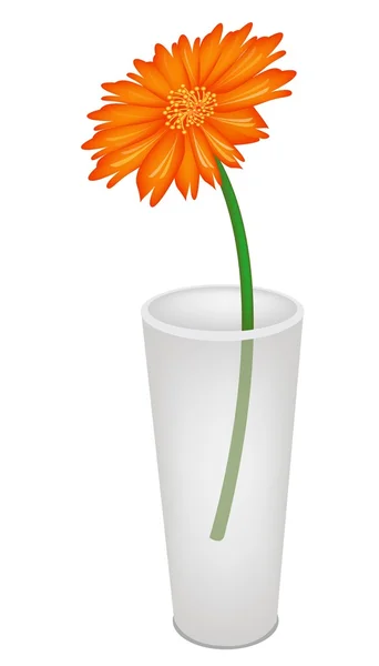 Uma linda flor de margarida fresca em vaso de vidro —  Vetores de Stock