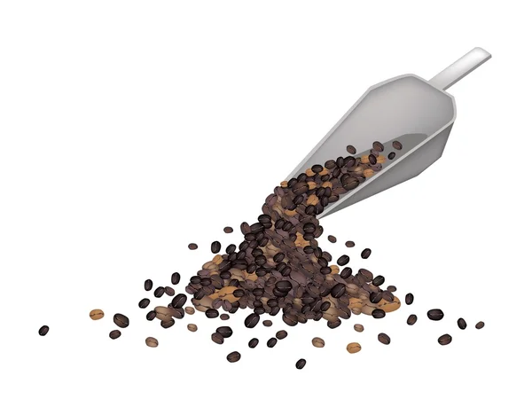 Kovová lopatka s pražená kávová zrna — Stockový vektor