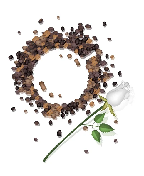 Καφέ λεκέδες από καφέ και λευκό τριαντάφυλλο — Διανυσματικό Αρχείο