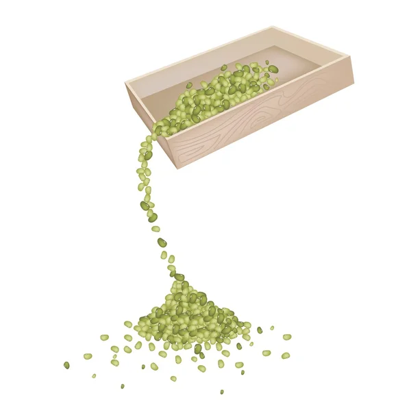 Mung Beans Dropped from A Wooden Container — Stock Vector