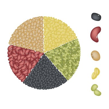 fasulye pasta grafiği kavram kümesi
