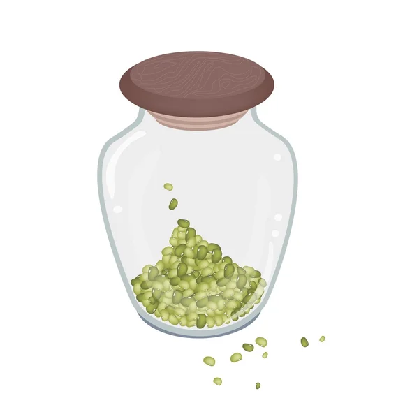 Beaucoup de haricots mungo en bouteille de verre — Image vectorielle