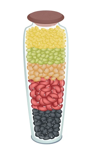 ボトル内の異なる bean のセット — ストックベクタ