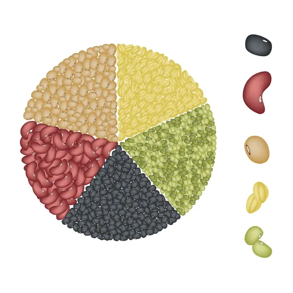 Set van bonen in cirkeldiagram concept — Stockvector