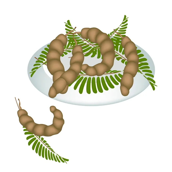 Ένα πιάτο φρέσκα tamarind pod και φύλλα — Διανυσματικό Αρχείο