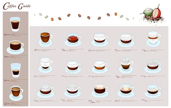 Nineteen Kind of Coffee Menu or Coffee Guide — Stock Vector