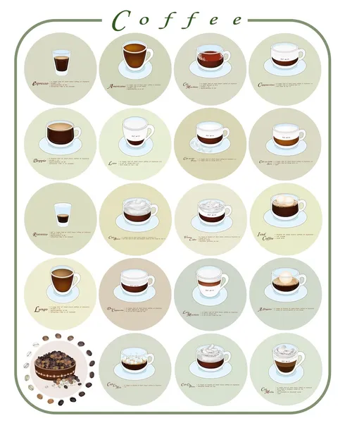 Diferentes tipos de menú de café o guía de café — Vector de stock
