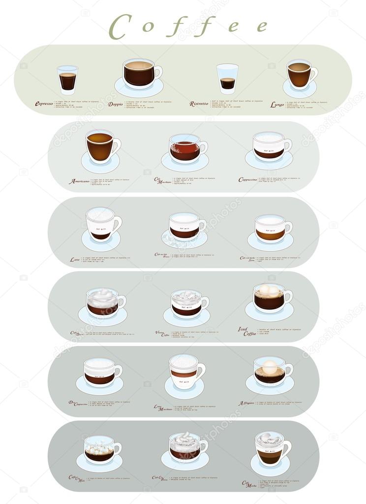 Different Type of Coffee Menu or Coffee Guide
