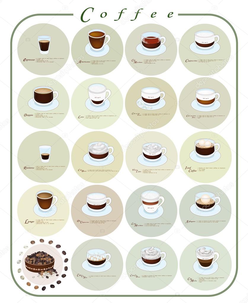 Different Kind of Coffee Menu or Coffee Guide