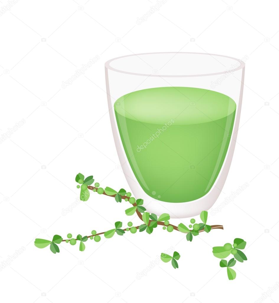 A Glass of Green Tea with Green Leaves