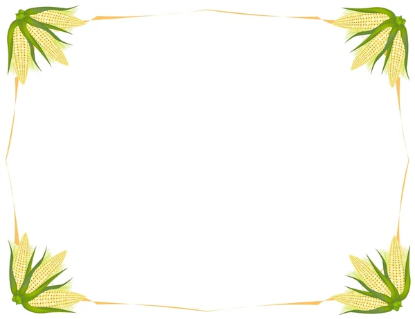 Fresh Sweet Ears of Light Yellow Corns Background — Stock Photo, Image
