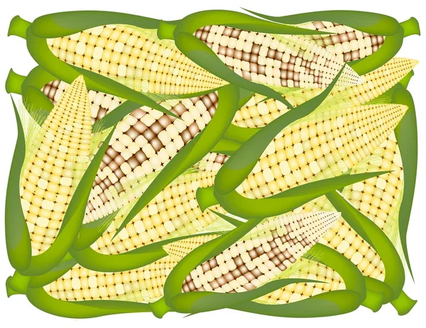 A Pile of Yellow Fresh Corns Background — Stok Foto