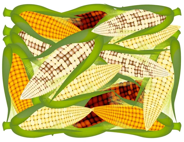 A Pile of Fresh Organic Corns Background — Stock Photo, Image