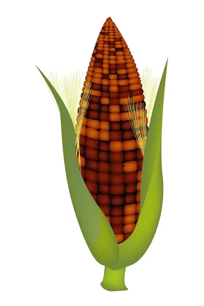 Färska söta öron lila majs med skalet och silke — Stock vektor