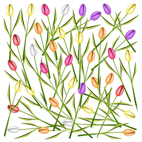 Set van verse tulp bloemen achtergrond — Stockvector