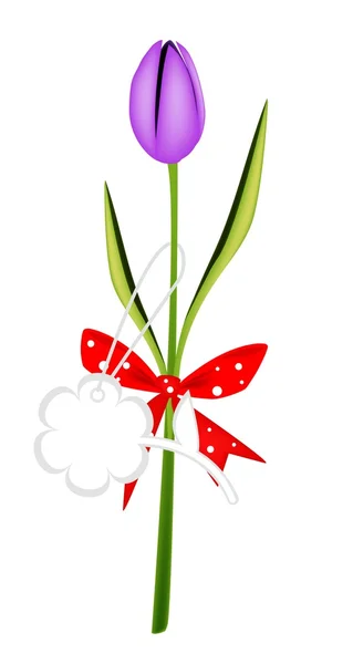 Fresh Violet Tulip with Red Ribbon — Stock Vector