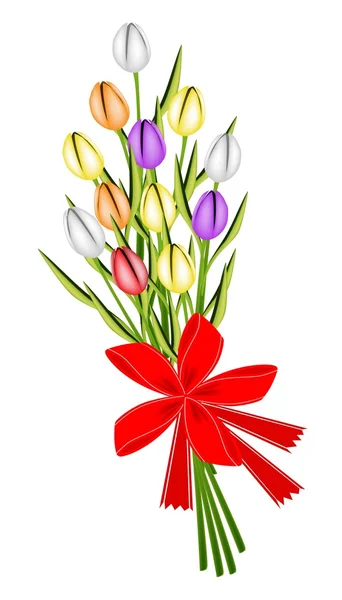 Bellissimo bouquet di tulipani freschi con nastro rosso — Vettoriale Stock