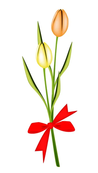 Preciosos dos tulipanes frescos con cinta roja — Vector de stock