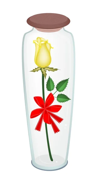 Linda rosa amarela com fita vermelha em garrafa de vidro —  Vetores de Stock