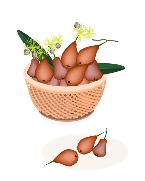 Brown Basket of Red Water Apple — Stock Vector