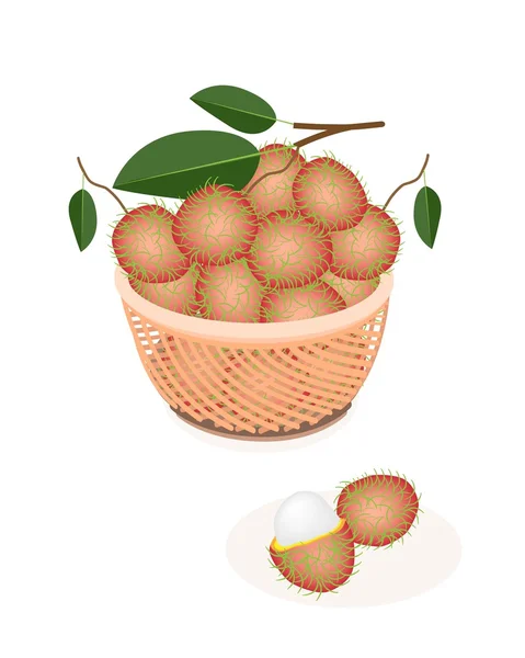 Brown Basket of Fresh Ripe and Juicy Rambutans — Stock Vector