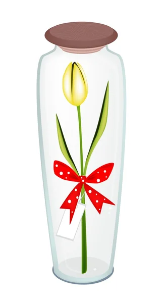 Tulipa amarela fresca com fita vermelha em garrafa de vidro — Vetor de Stock