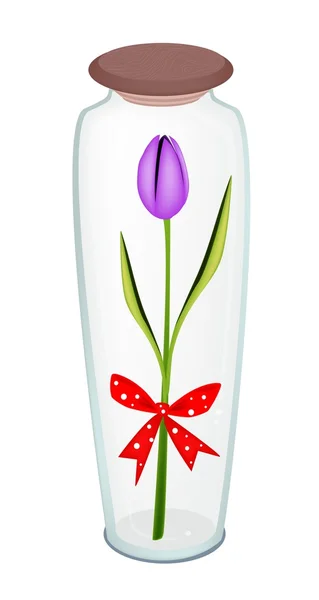 Tulipán Violeta Fresco con Cinta Roja en Botella de Cristal — Vector de stock