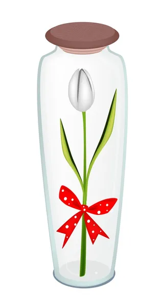 Fresh White Tulip with Red Ribbon in Glass Bottle — Stock Vector